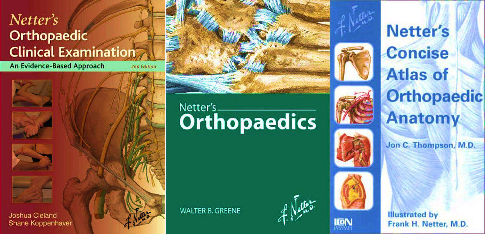 free download program netter orthopedic anatomy pdf orthopedic